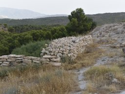 Yacimiento de la Almoloya 2023